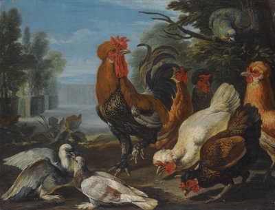 Un gallo, gallinas, palomas y un loro en un jardín de David de Coninck